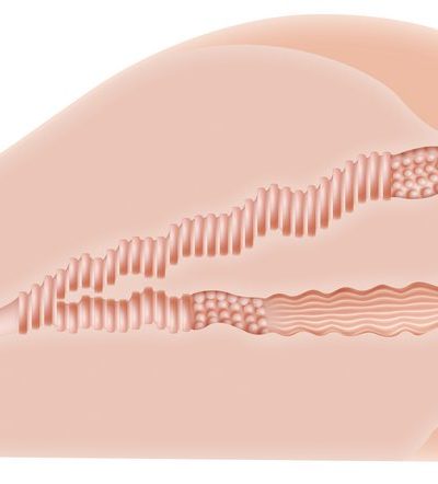 Zero Tolerance Kendra Lust Life Size Ass W- Vagina